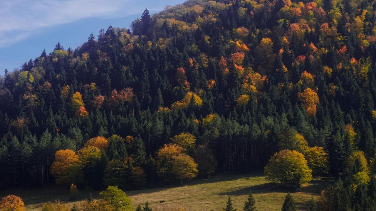 Landhaus Боржоми Экстерьер фото