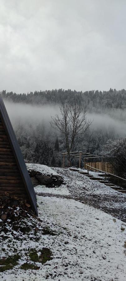Landhaus Боржоми Экстерьер фото