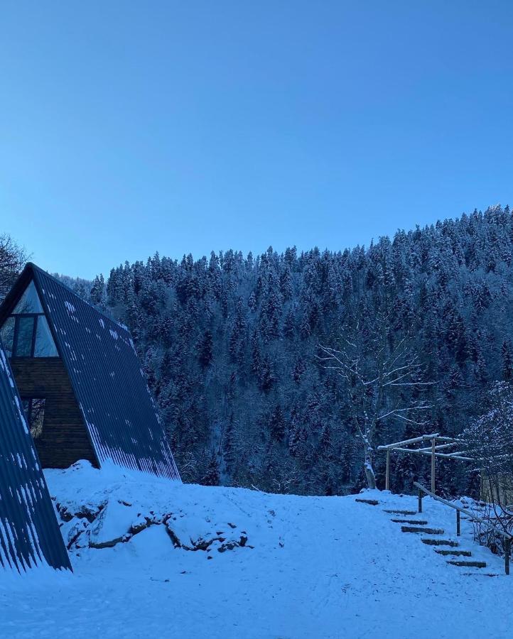 Landhaus Боржоми Экстерьер фото