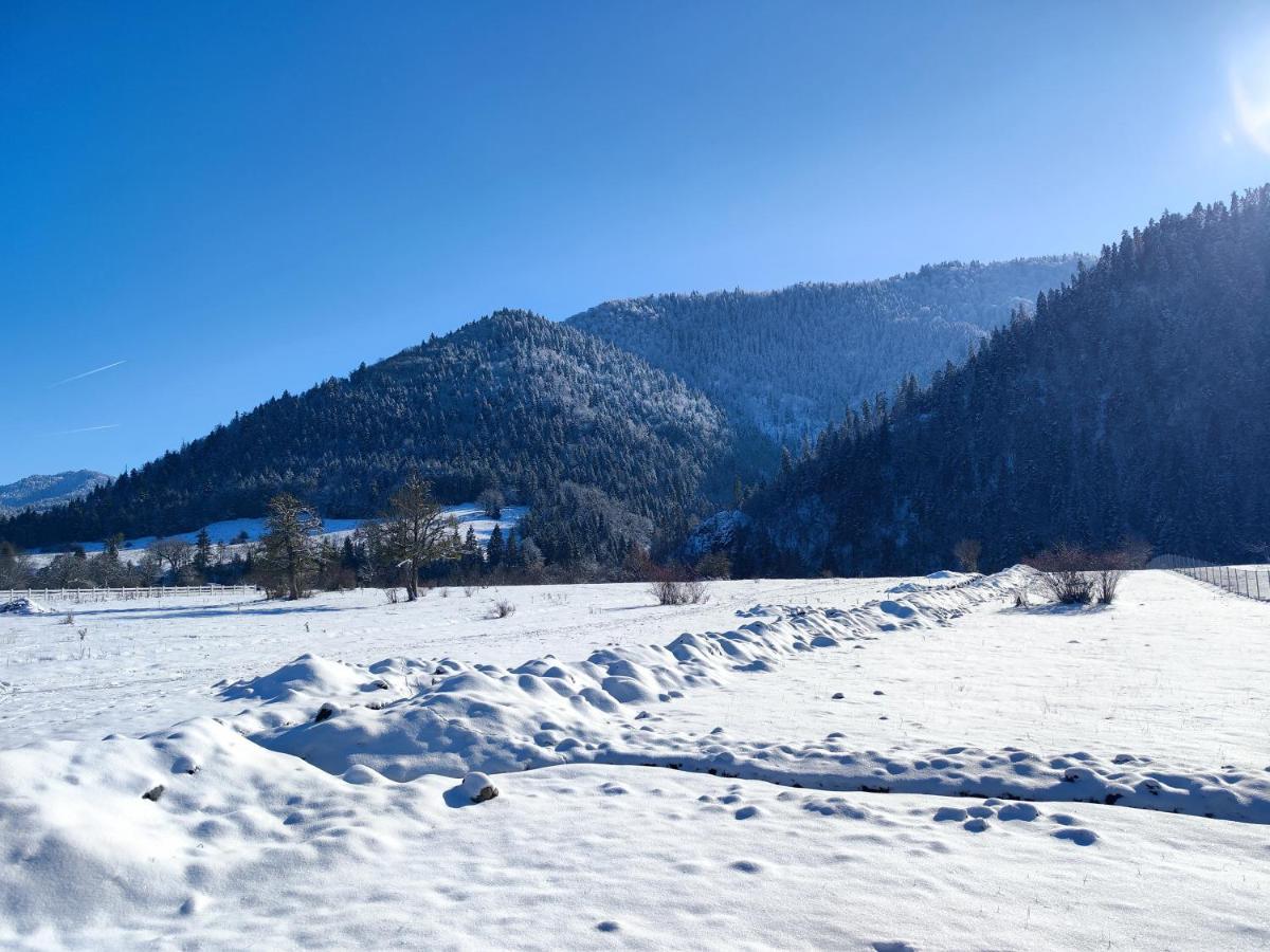 Landhaus Боржоми Экстерьер фото